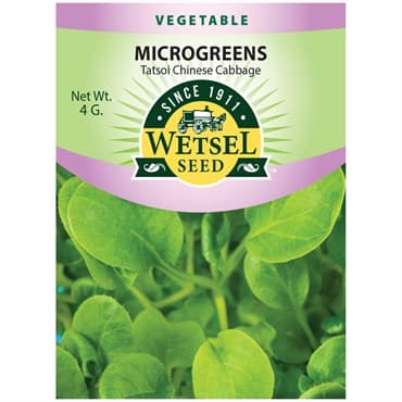 Microgreens, Tatsoi Chinese Cabbage 4 Grams — photo 1 of 2