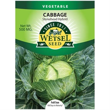 Cabbage, Stonehead Hybrid 500mg — photo 1 of 2