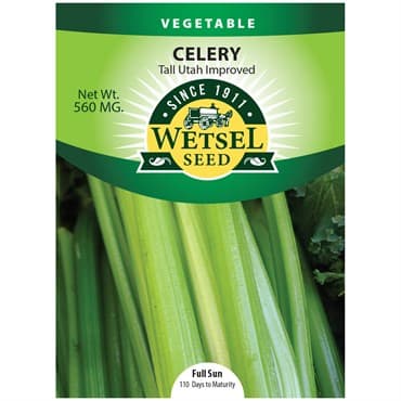 Celery, Tall Utah Improved 560mg — photo 1 of 2