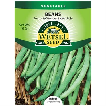 Beans, Kentucky Wonder Brown Pole 10 Grams — photo 1 of 2