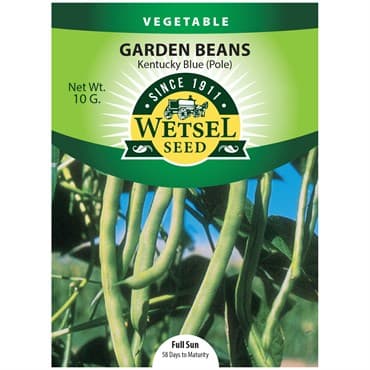 Beans, Kentucky Blue Pole 10 Grams — photo 1 of 2