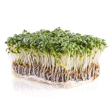 Microgreens, Upland Cress 3.5 Grams — photo 1 of 2