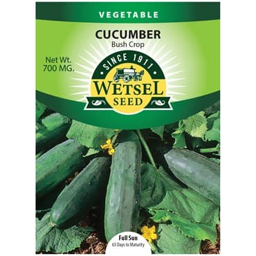 Cucumber, Bush Crop 700mg — photo 1 of 2
