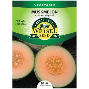 Cantaloupe, Ambrosia Hybrid 180mg — photo 1 of 2