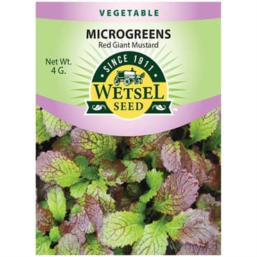 Microgreens, Red Giant Mustard 4 Grams — photo 1 of 2
