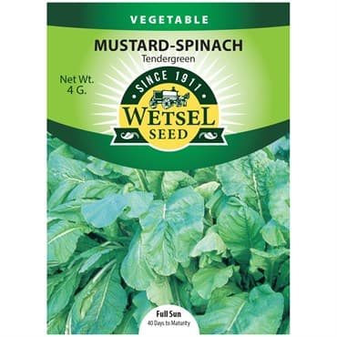 Mustard Spinach, Tendergreen 4 Grams — photo 1 of 2