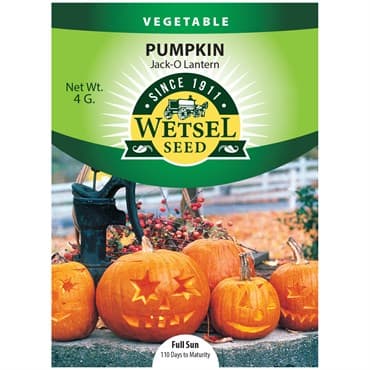 Pumpkin, Jack O Lantern 4 Grams — photo 1 of 2