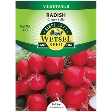 Radish, Cherry Belle 4 Grams — photo 1 of 2