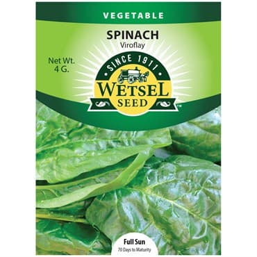 Spinach, Viroflay 4 Grams — photo 1 of 2
