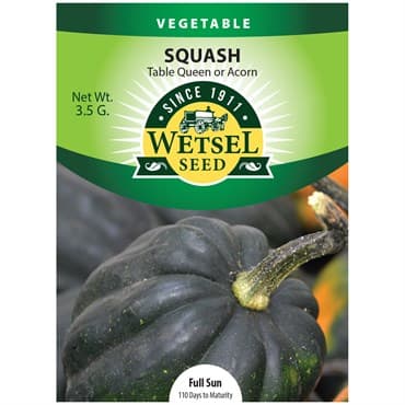 Squash, Table Queen Acorn 3.5 Grams — photo 1 of 2