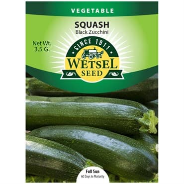 Squash, Black Zucchini 3.5 Grams — photo 1 of 2