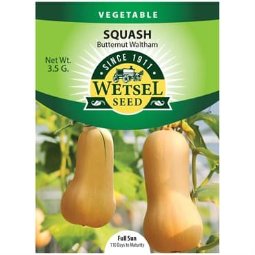 Squash, Butternut Waltham 3.5 Grams — photo 1 of 2