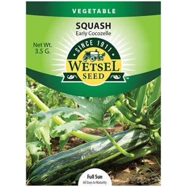 Squash, Early Cocozelle 3.5 Grams — photo 1 of 2