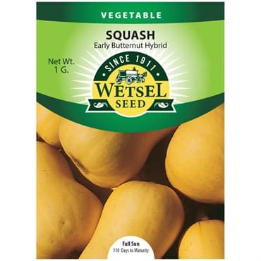 Squash, Early Butternut Hybrid 1 Gram — photo 1 of 2