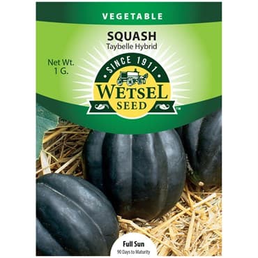 Squash, Taybelle Hybrid 1 Gram — photo 1 of 2