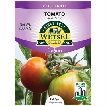 Tomato, Super Sioux 200mg — photo 1 of 2