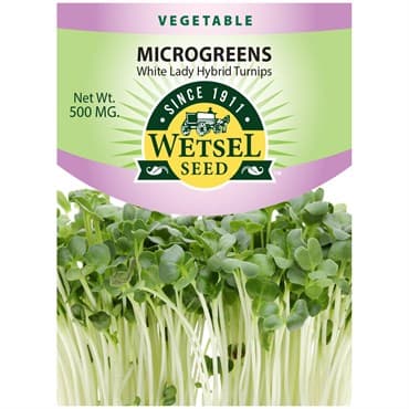 Microgreens, White Lady Turnip 500mg — photo 1 of 2