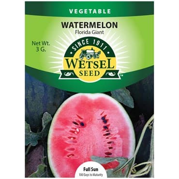 Watermelon, Florida Giant 3 Grams — photo 1 of 2