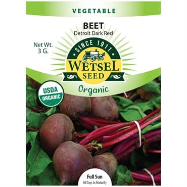 Beets, Organic Detroit Dark Red 3 Grams — photo 1 of 2