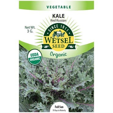 Kale, Organic Red Russian 3 Grams — photo 1 of 2