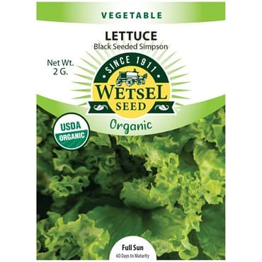 Lettuce, Organic Black Seeded Simpson 2 Grams — photo 1 of 2