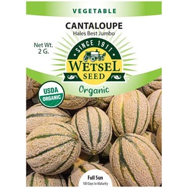 Cantaloupe, Organic Hale Best 2 Grams — photo 1 of 2