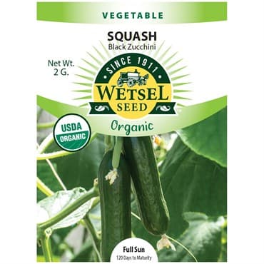 Squash, Organic Black Zucchini 2 Grams — photo 1 of 2