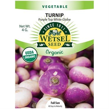 Turnips, Organic Purple Top 4 Grams — photo 1 of 2