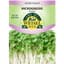 Microgreens, Arugula 800mg — thumbnail 1 of 2