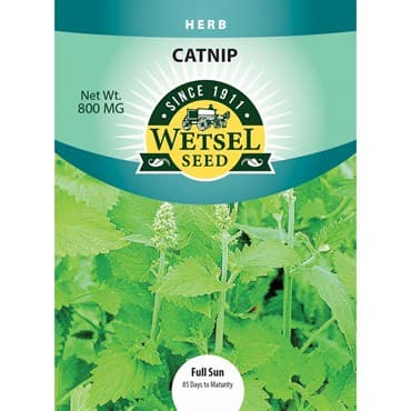 Catnip 800mg — photo 1 of 2