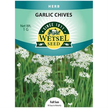 Chives, Garlic 1 Gram — photo 1 of 2