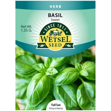 Basil, Sweet 1.35 Grams — photo 1 of 2