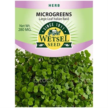 Microgreens, Large Leaf Italian Basil 280mg — photo 1 of 2