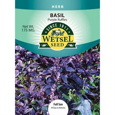 Basil, Purple Ruffles 175mg — photo 1 of 2