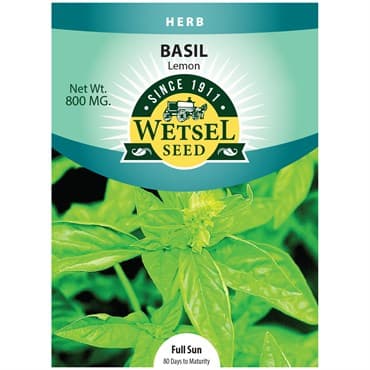 Basil, Lemon 800mg — photo 1 of 2