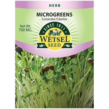 Microgreens, Coriander/ Cilantro 700mg — photo 1 of 2