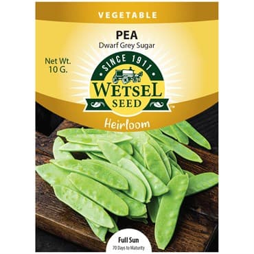 Pea, Heirloom Dwarf Grey Sugar 10 Grams — photo 1 of 2
