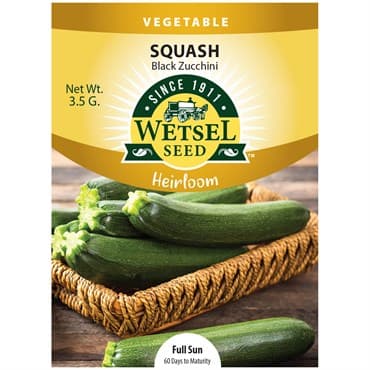 Squash, Heirloom Black Zucchini 3.5 Grams — photo 1 of 2