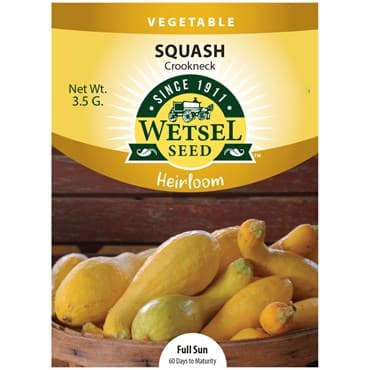 Squash, Heirloom Crookneck 3.5 Grams — photo 1 of 2