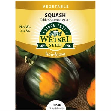 Squash, Heirloom Table Queen 1.35 Grams — photo 1 of 2