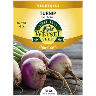 Turnips, Heirloom Purple To 4 Grams — photo 1 of 2