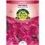 Petunia, Pink Supercascade 30 Seed Count — thumbnail 1 of 2