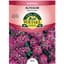 Alyssum, Royal Carpet 280mg — thumbnail 1 of 2