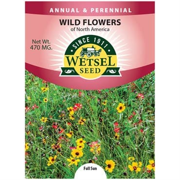 North America Wildflower Mix 470mg — photo 1 of 2