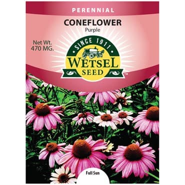 Coneflower, Purple 470mg — photo 1 of 2