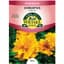 Coreopsis, Sunburst 470mg — thumbnail 1 of 2