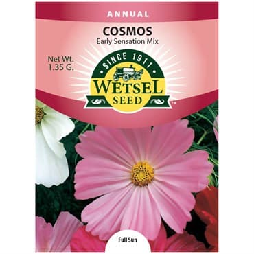 Cosmos, Early Sensation 1.35 Grams — photo 1 of 2