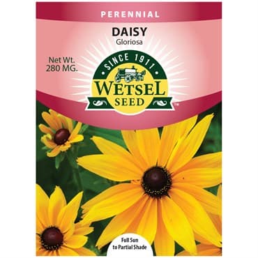 Daisy, Gloriosa Single 280mg — photo 1 of 2