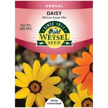 African Daisy Aurantiaca Mix 280mg — photo 1 of 2