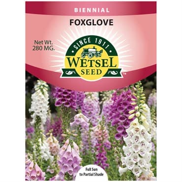 Foxglove, Foxy Annual 280mg — photo 1 of 2